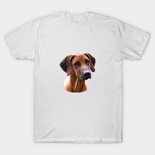 Rhodesian Ridgeback The Lion Hunting Dog Rhodesian Ridgeback T